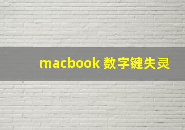 macbook 数字键失灵